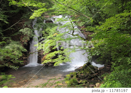 名水の滝 11785197