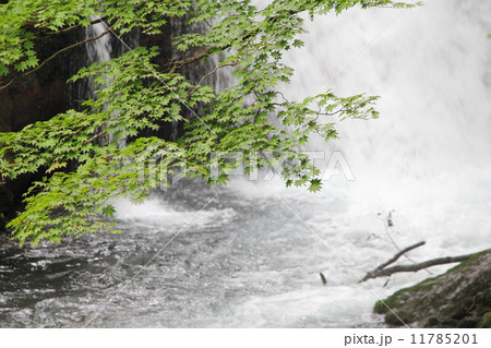 名水の滝 名水の滝 11785201