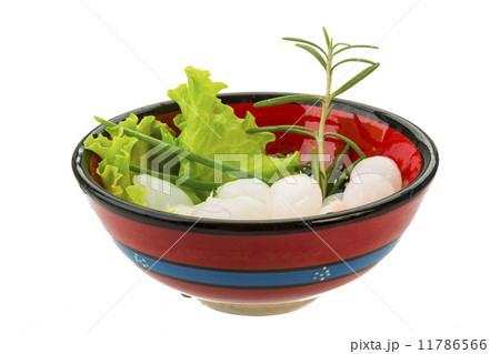 Small marinated onion 11786566