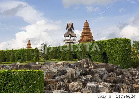 Nong Nooch tropical garden 11786624
