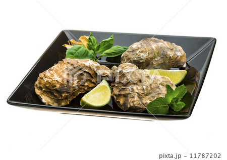 Fresh oyster 11787202
