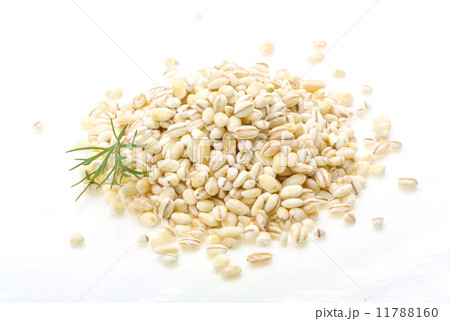 Pearl barley Pearl barley 11788160