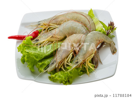Raw tiger shrimps Raw tiger shrimps 11788184
