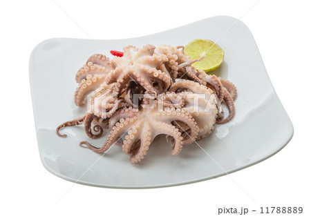 Boiled octopus Boiled octopus 11788889