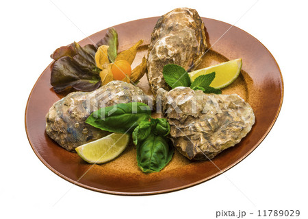 Fresh oyster Fresh oyster 11789029