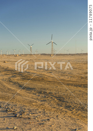 Wind farm Wind farm 11789075