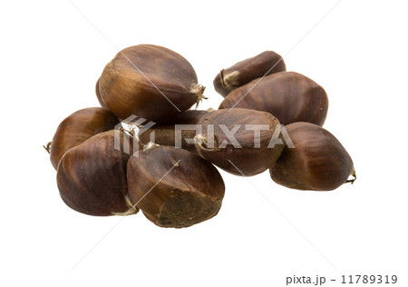 Chestnut Chestnut 11789319