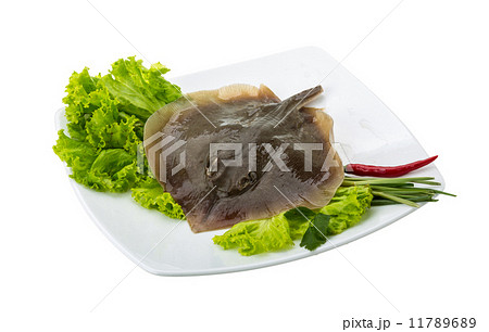 Raw Batoidea Raw Batoidea 11789689