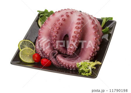 Large boiled octopus 11790198
