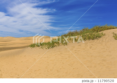 Maspalomas Duna - Desert in Canary island Gran Canaria 11790520