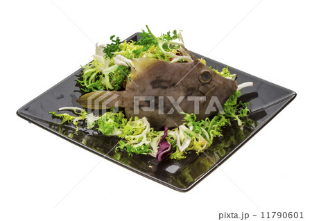 Fish Pesce San Pietro 11790601