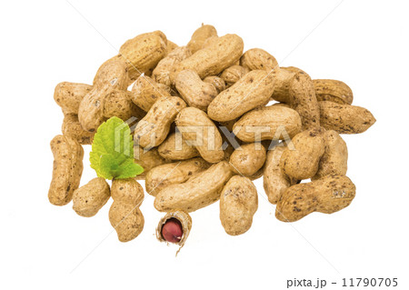 Peanut Peanut 11790705