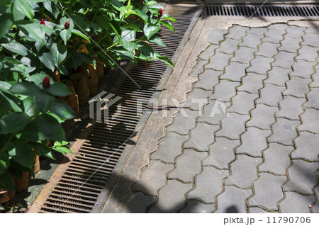 Nong Nooch tropical garden Nong Nooch tropical garden 11790706