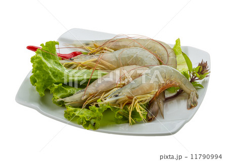 Raw tiger shrimps Raw tiger shrimps 11790994