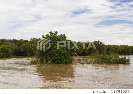 Tonle Sap lake 11791027
