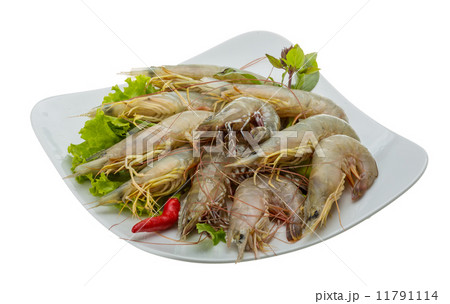 Raw tiger shrimps Raw tiger shrimps 11791114