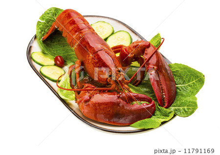 Large Lobster 11791169