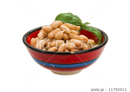 Tinned bean 11793011