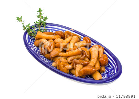 Armillaria Armillaria 11793991