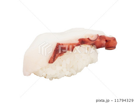Japanese sushi with meat octopus on a white background 11794329