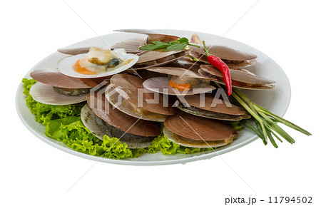 Raw fresh scallops 11794502