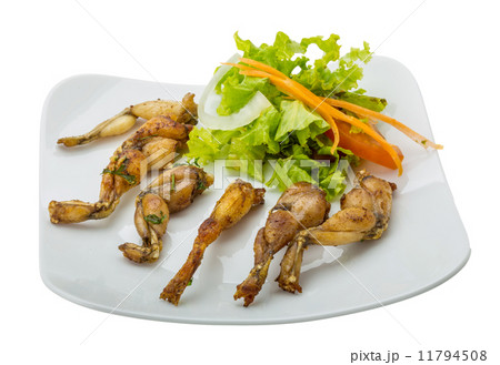 Grilled frog legs Grilled frog legs 11794508