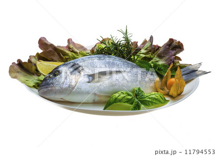 Fresh raw dorada 11794553