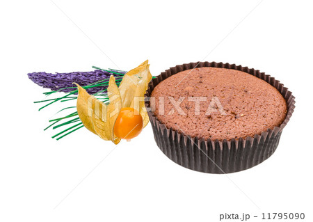 Muffin Muffin 11795090