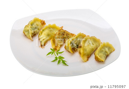 Japan dumplings - gyoza Japan dumplings - gyoza 11795097