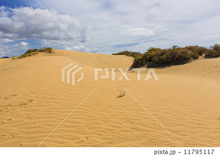 Maspalomas Duna - Desert in Canary island Gran Canaria 11795117