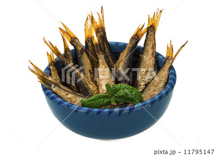 Sprat in the bowl 11795147