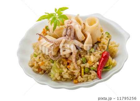 Fried rice with calamari 11795256