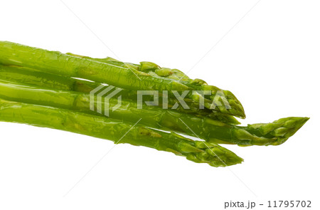 Asparagus 11795702