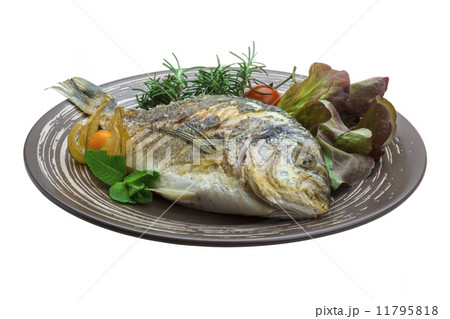 Dorado grilled Dorado grilled 11795818