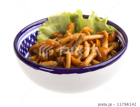 agaric honey at plate agaric honey at plate 11796142