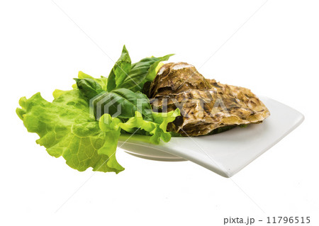 Fresh oyster 11796515