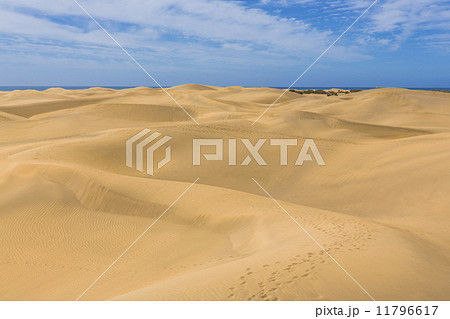 Maspalomas Duna - Desert in Canary island Gran Canaria 11796617