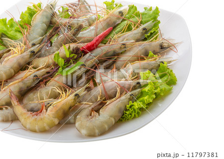 Raw tiger shrimps Raw tiger shrimps 11797381