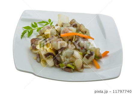 Raw octopus salad 11797740