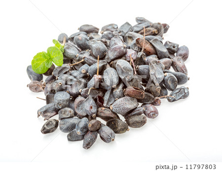 Dry Berberis 11797803
