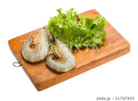 Tiger prawn 11797835