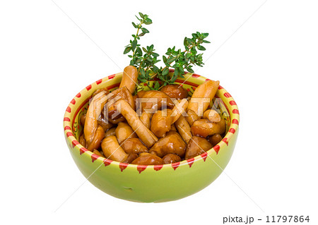 Armillaria Armillaria 11797864