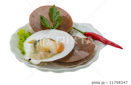 Raw fresh scallops Raw fresh scallops 11798347