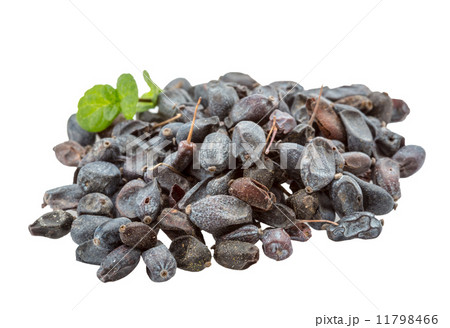 Dry Berberis Dry Berberis 11798466