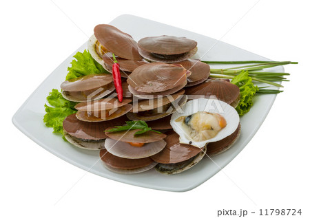 Raw fresh scallops Raw fresh scallops 11798724