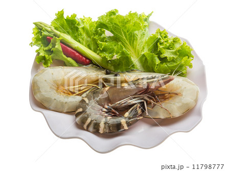 King and waterleg shrimps King and waterleg shrimps 11798777