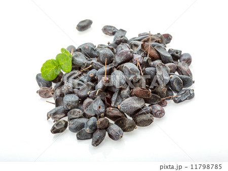 Dry Berberis 11798785