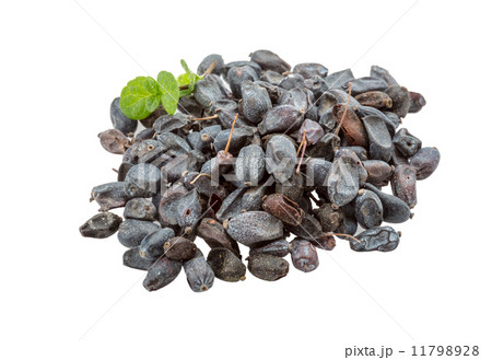 Dry Berberis Dry Berberis 11798928