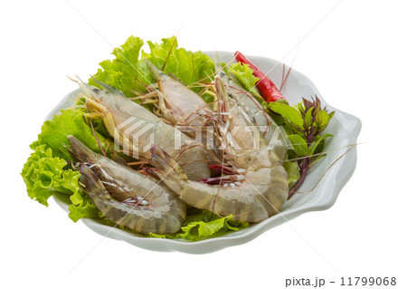 Raw tiger shrimps Raw tiger shrimps 11799068