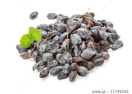 Dry Berberis 11799263